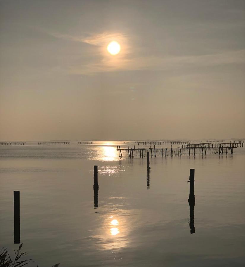 Mare&Terra... Alloggi Nel Delta Polesine Camerini Екстер'єр фото